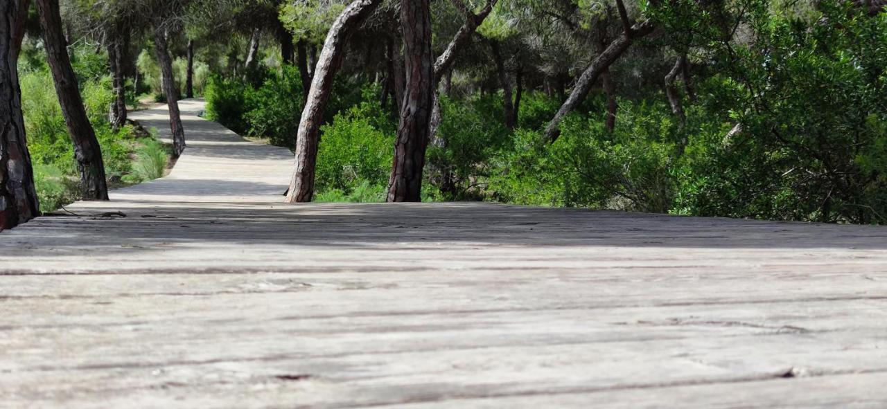 Rota Atlantico Apartment Dış mekan fotoğraf