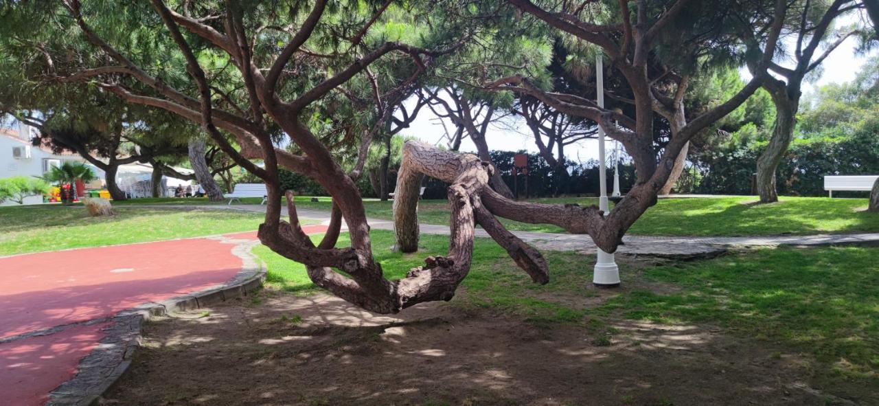 Rota Atlantico Apartment Dış mekan fotoğraf
